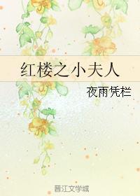 红楼之小夫人TXT