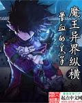魔皇异界纵横