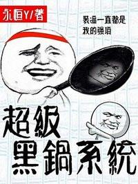 超级黑锅系统大结局