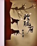 玲珑月讲的什么