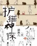 机灵神探猫