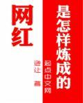 网红是怎样出现的