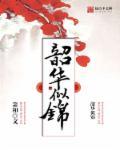 韶华似锦哪一集圆房了