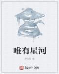 唯有星河落满裳的解释