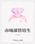 市场部管培生的晋升