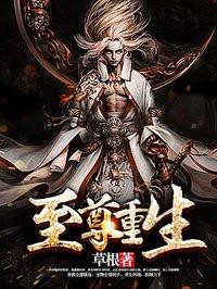 至尊重生有多少老婆