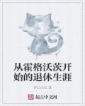 从霍格沃茨开始的退休之旅