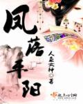凤落平阳by扬书魅影
