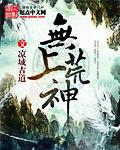 无上神帝无弹窗免费阅读