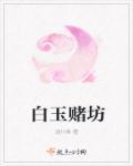 赌石白玉