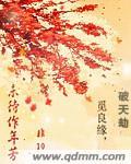 未待作年芳非10txt