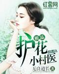 极品护花小村医无良道长