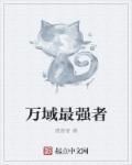 万域之王无弹窗全文阅读