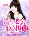 帝少盛宠小娇妻 - 正版