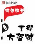 大盗贼全文阅读