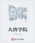 大唐学院智能系统