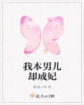 我本男儿却成妃 最强人格