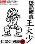 绝品修真大少