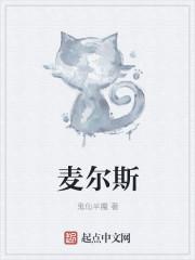 迈尔斯骑士白啤怎么样