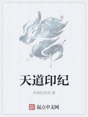 天道印信组合