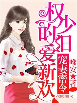 权少的宠妻免费阅读