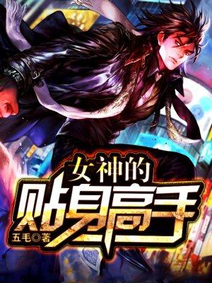 女神的贴身高手苏晴