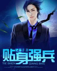 贴身强兵霸道总裁爱上我 啤酒二两