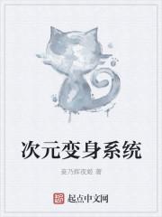 顶级次元系统