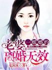 离婚无效怎么办