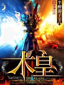 术皇 半醉游子txt
