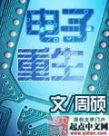 重生之电子时代