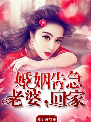 婚姻告急老婆别闹