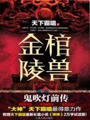 金棺陵兽张小辫结局