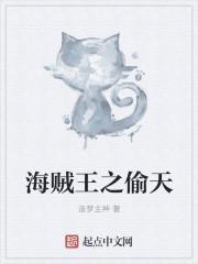 海贼王之盗版王笔趣阁