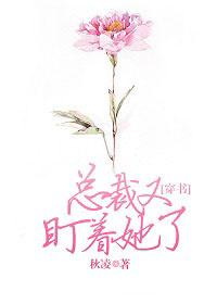 总裁又盯着她了