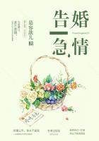 婚情告急by二桥