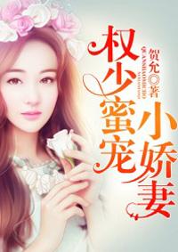 权少蜜宠小娇妻 贺允