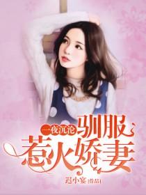 一夜沉沦驯服惹火娇妻目录