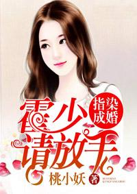 指染成婚霍少请放手霍祁年叶浅