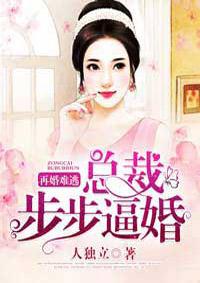 再婚难逃免费阅读