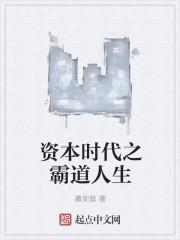 资本时代2005