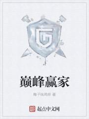 巅峰玩家266章