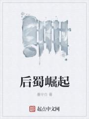 三国之崛起益州