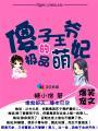 傻子王爷的一品王妃