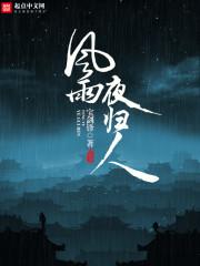 风雨夜归人散文