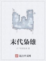 末代枭雄电视剧