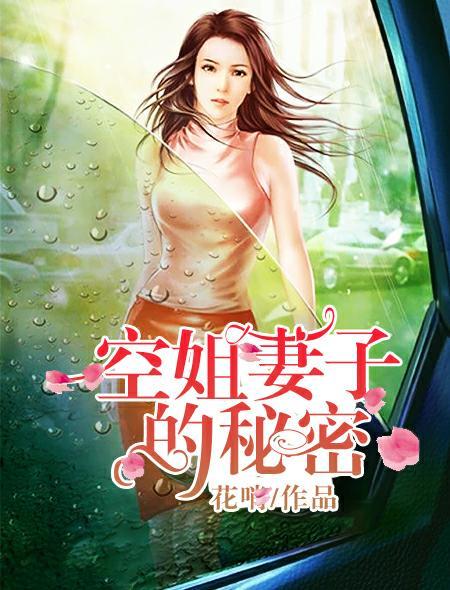空姐妻子的秘密花哨在线阅读
