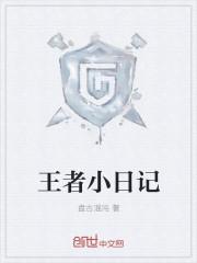 王者日记莫名的烦恼