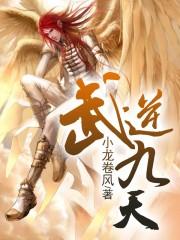 武逆九天境界划分