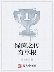 绿茵之旅